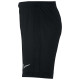 Nike Παιδικό σορτς Dri-FIT Academy